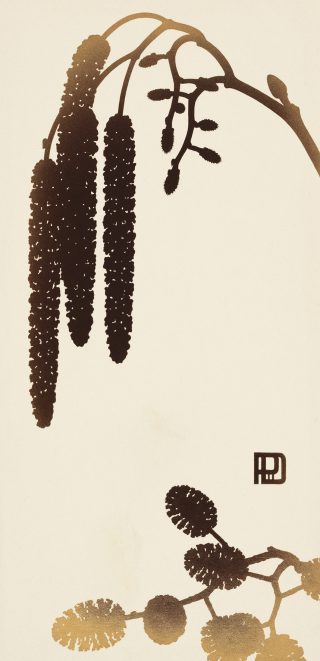 dobe-3.jpg Thumbnail