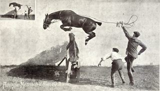 Historisches Lehrmuseum für Photographie, Tafel 125, Ottomar Anschütz, Springendes Pferd, um 1888, Druckbild auf Karton (Autotypie), 42,3 x 78,4 cm Historisches Lehrmuseum für Photographie, Tafel 125, Ottomar Anschütz, Springendes Pferd, um 1888, Druckbild auf Karton (Autotypie), 42,3 x 78,4 cm